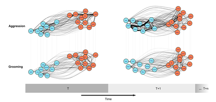 Multilayer network
