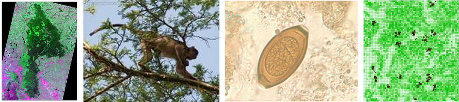 Geospatial simulation of disease transmission across a landscape